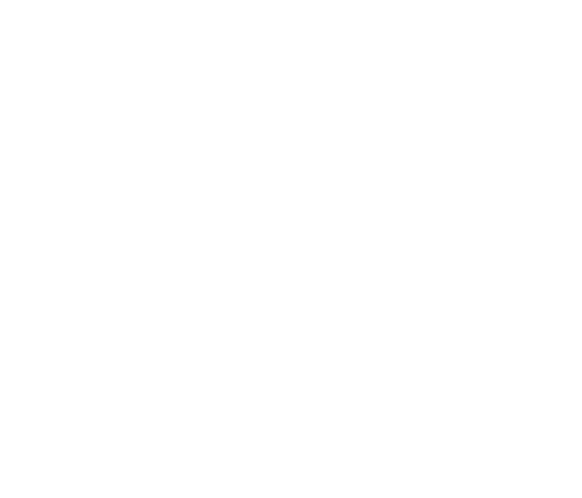 Won't Fall